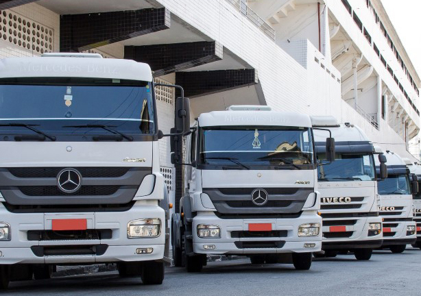 Imagem de perfil da frota da transportadora Di Pardo Transportes