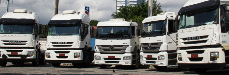 Imagem dos transportes rodoviário da transportadora Di Pardo